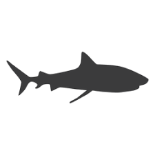 Free Free Shark Attack Svg 887 SVG PNG EPS DXF File