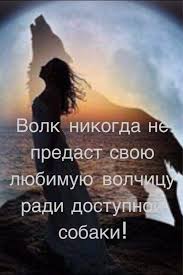 Volk Nikogda Ne Predast Svoyu Lyubimuyu Volchicu Radi Dostupnoj Sobaki Goodbye Quotes Wise Quotes Funny Quotes About Life