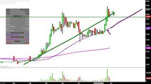 Oragenics Inc Ogen Stock Chart Technical Analysis For 05