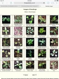 57 Genuine Seedling Identification Chart