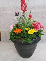 You might not have realised it, but not all deodorants are antiperspirant. 14 Warm Weather Deck Pots In Mechanicsburg Pa Jeffrey S Flowers