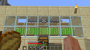They can detect if there is stuff in their inventory and a piece of string receives a block update whenever something interacts with it, so if you hook that up to. Can Anyone Tell Me If This Automatic Sugar Cane Farm Is Working Because It Seems That The Sugar Canes Won T Grow Next To The Observer Minecraft