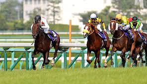 Copyright © 2011 kikuna memorial hospital. æ­´å² ã‚³ãƒ¼ã‚¹ å®å¡šè¨˜å¿µ ä»Šé€±ã®æ³¨ç›®ãƒ¬ãƒ¼ã‚¹ Jra
