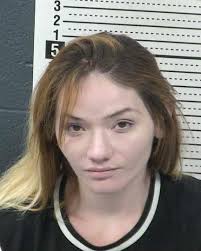 ROMERO, EVANGELINA JESSIE CHARGES: Possession Other I, II, III, IV W/  intent to Distribute PROBATION VIOLATION Possession of cocaine w/ intent to  Traffic Possession of Methamphetamine W/ intent to Distribute