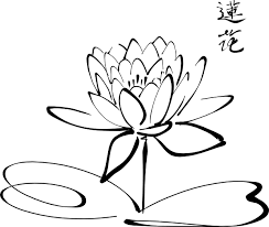 Flower black and white png images. Lotus Flower Drawing Vector Novocom Top