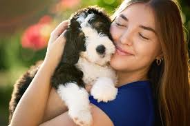 So many of our Howdy Doodles families love seeing updates