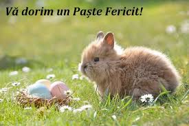 Mai bine dau mesaje de paşte decât să fac. Urari Frumoase De Paste Asdq