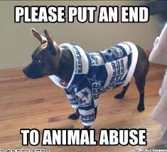 Nfl Memes No More Animal Abuse Credit Dallascowboys Suckmemes Http Whatdoumeme Com Meme 8rvjti Facebook