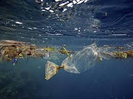Ad oggi le stime calcolano che si aggiri tra i 700.000 km2 fino a più di 10 milioni di km2. L Isola Di Plastica Del Pacifico Che Potrebbe Diventare Uno Stato Corriere It