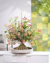 Image result for Gloriosa