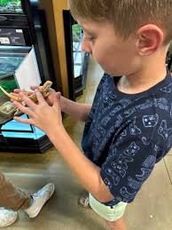 Bearded Dragons Lovers