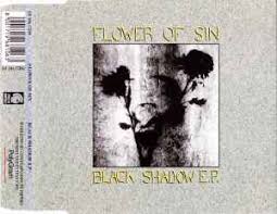 Image result for Black 1992 Shadow
