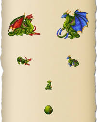 Image result for Anagallis kochii