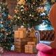 Christmas in July