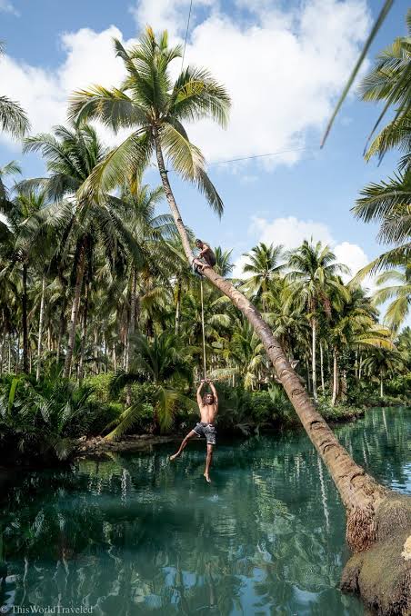 Maasin River Palm Tree Swing on Siargao Island | This World Traveled
