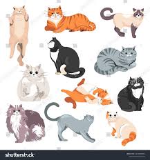 Feline Animals Grown Cats Kittens Furry 库存矢量图（免版税）2176619891 | Shutterstock