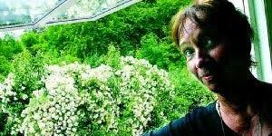 Pamelas päronträd blommar av rosor