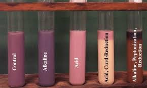 We did not find results for: Test Microbiology Lab Practical Quizlet