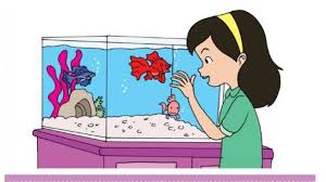 Pada subtema 1 ini terdiri dari 6 kegiatan pembelajaran yang harus di selesaikan siswa dengan baik. Kunci Jawaban Tema 2 Kelas 5 Sd Halaman 2 5 7 8 9 12 Subtema 1 Pembelajaran 1 Tribunnews Com Mobile