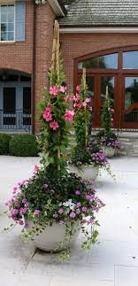 Pin On Vz Container Gardens