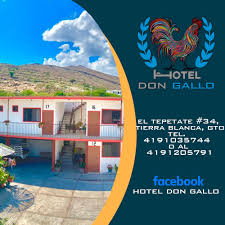 Hotel Don Gallo