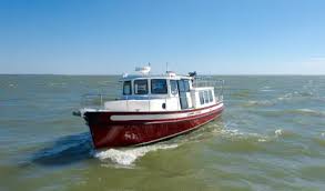 Image result for Nordic White 2000 Tiburon