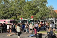 Novi Taco Fest