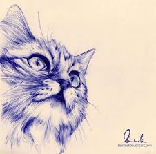 Animal Ballpoint Pen Portraits Ballpoint Pen Art Ink Pen Drawings Art