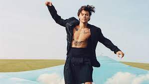 But in order to maintain their grip on institutional power, shapiro and owens must at least feign that there. Harry Styles Wears Dress On Vogue Cover Rocks A Skirt Too Hollywood Life