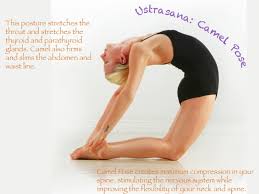 Hot Hatha Yoga Poses Purely Hot Yoga Sacramento Ca