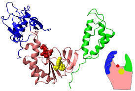 Image result for Nucleoside Reverse Transcriptase Inhibitor