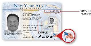 Your driving licence or entitlement to drive was automatically extended for 11 months if it expired between 1 february 2020 and 31 december 2020. New York Dmv Sample New York Dmv Photo Documents
