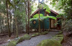 Maybe you would like to learn more about one of these? Romantic Rainforest Holiday Accommodation Gold Coast Hinterland Springbrook South East Queensland Support Rainforest Conservation