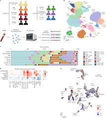 Maybe you would like to learn more about one of these? Single Cell Multi Omics Analysis Of The Immune Response In Covid 19 Nature Medicine