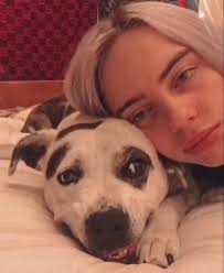 Alanis The Brazilian On Instagram Pepper Deserves All The Love I Mean Look At Her Shy Smile And Her Mysterious Eyes Billie Billie Eilish My Love