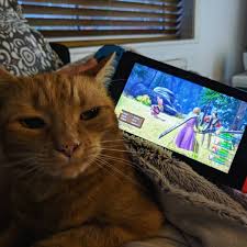 Can T Complain At All Nice To Sit Back And Play Games With The Cat Cat Dragonquest Nintendoswitch Nintendo Switch Games To Play Cats