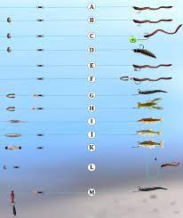 The three types of fishing reels we covered might serve a similar purpose, but as you just saw, they are very different. Basic Rigs Fishing Outposts
