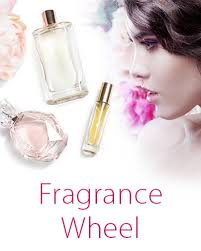 Fragrance Wheel Let Us Help You Find Your Perfect Scent