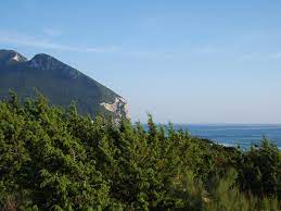 Things to do near parco nazionale del circeo. Nationalpark Circeo Wikipedia