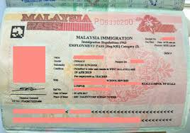 This article will detail the process and requirements of obtaining a malaysia student visa. What Visa Do I Need As An Expat In Malaysia Travel Mermaid