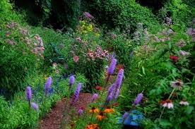 John S Butterfly Garden In Michigan Rain Garden Design Shade Garden Milkweed Garden