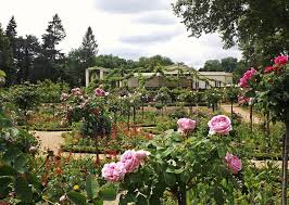Der Rosengarten Von Schloss Charlottenhof Von Liesel47 Sanssouci Ostpreussen Stadtschloss