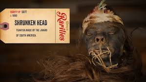 Image result for shrunken heads