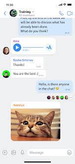 ICQ 