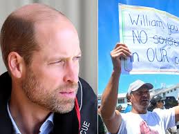 Prince William heckled by protestors during last day of Cape Town visit