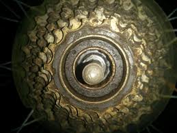 Shimano Kassette Wechseln Fahrrad Radforum De