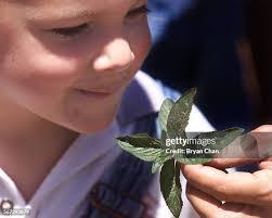 Michael Coblentz's Instagram, Twitter & Facebook