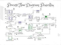 Penicillin Production