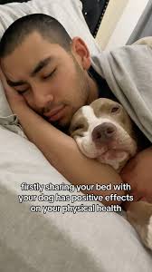 Why You Should Let Your Dog Sleep in Your Bed 🐶