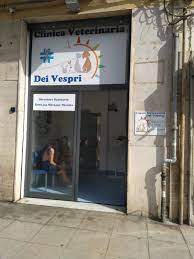 Negozio di cellulari a palermo. Clinica Veterinaria Dei Vespri Nella Citta Palermo